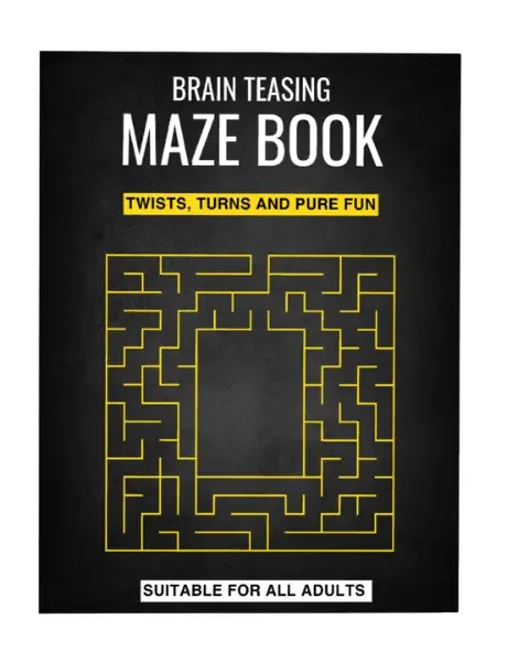 Brain Teasing Adult Maze