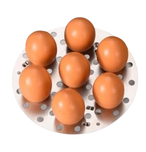 2-In-1 Egg Boiler And Food Steamer /Warmer